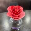 IMG_0558 Justin Bieber Someday EDP