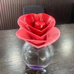 IMG_0558 Justin Bieber Someday EDP