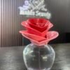 IMG_0559 Justin Bieber Someday EDP